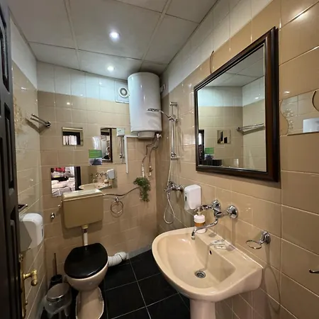 酒店 Mini Hotel-bohemi